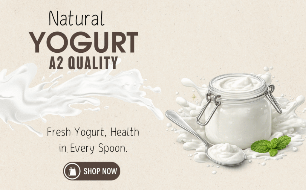 Yougurt